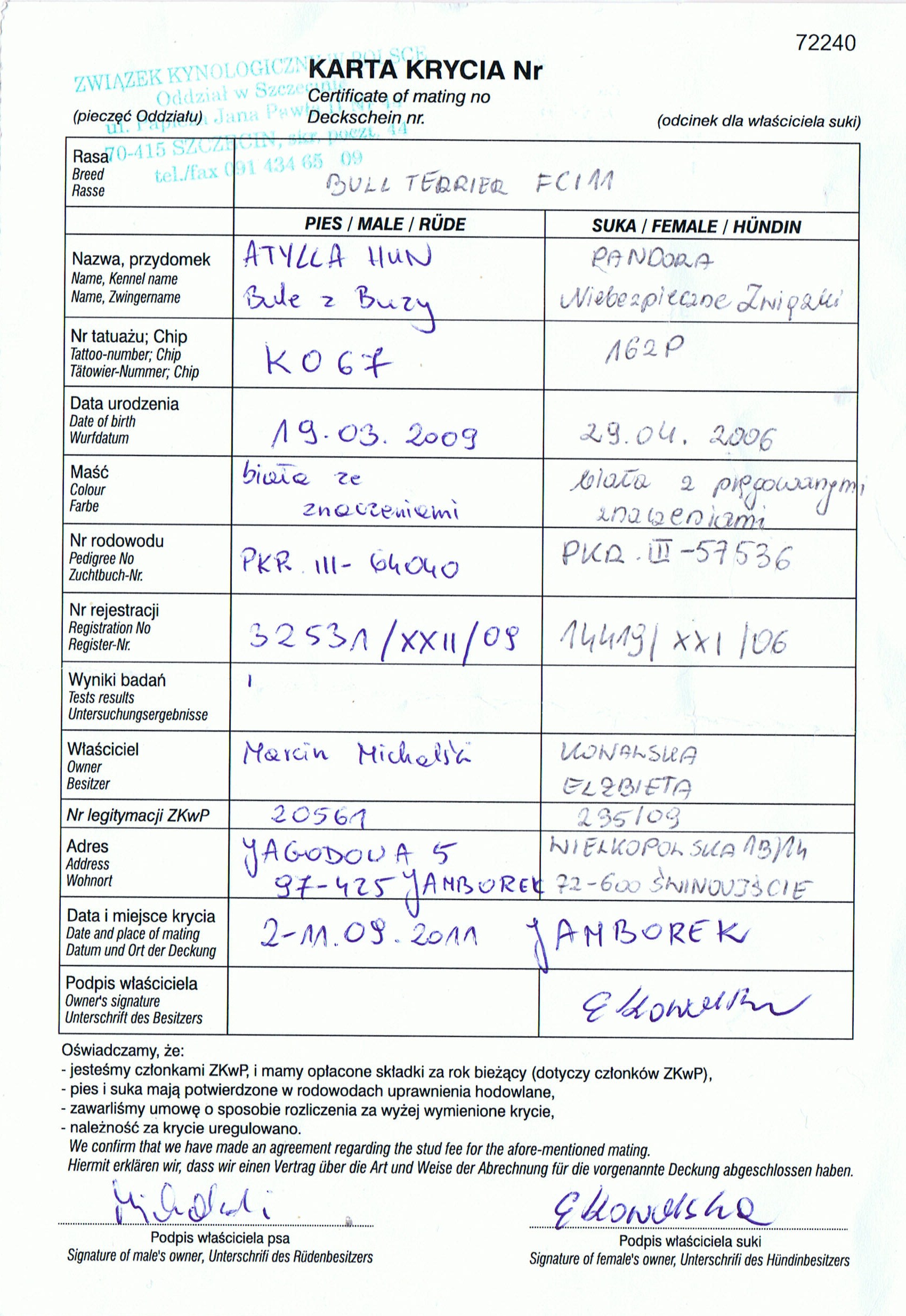 Card of Covering - Pandora x Atylla Hun