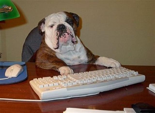 First steps in recreating the website